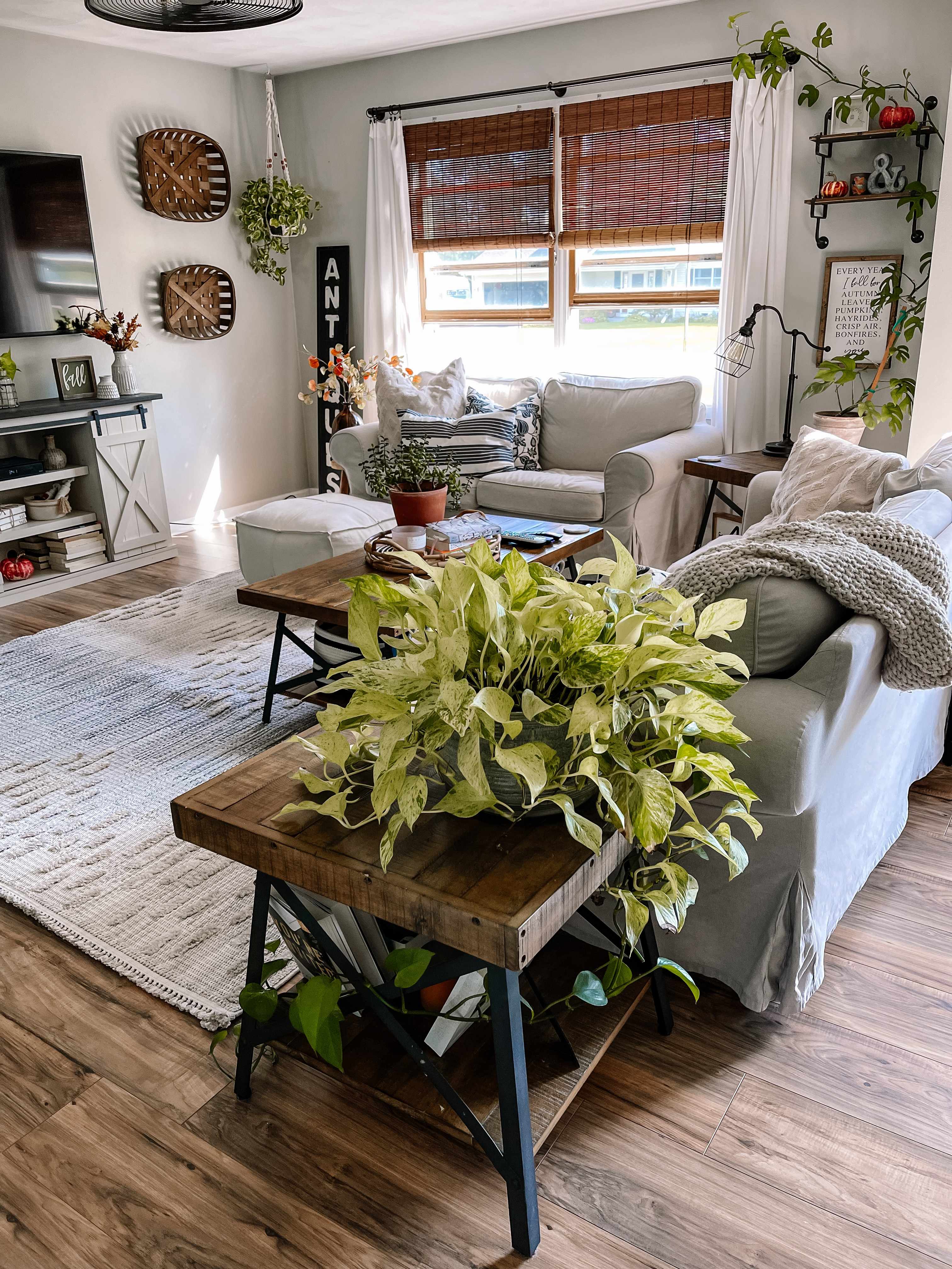 Poydras 6'7in x 9' Area Rug - Hauteloom