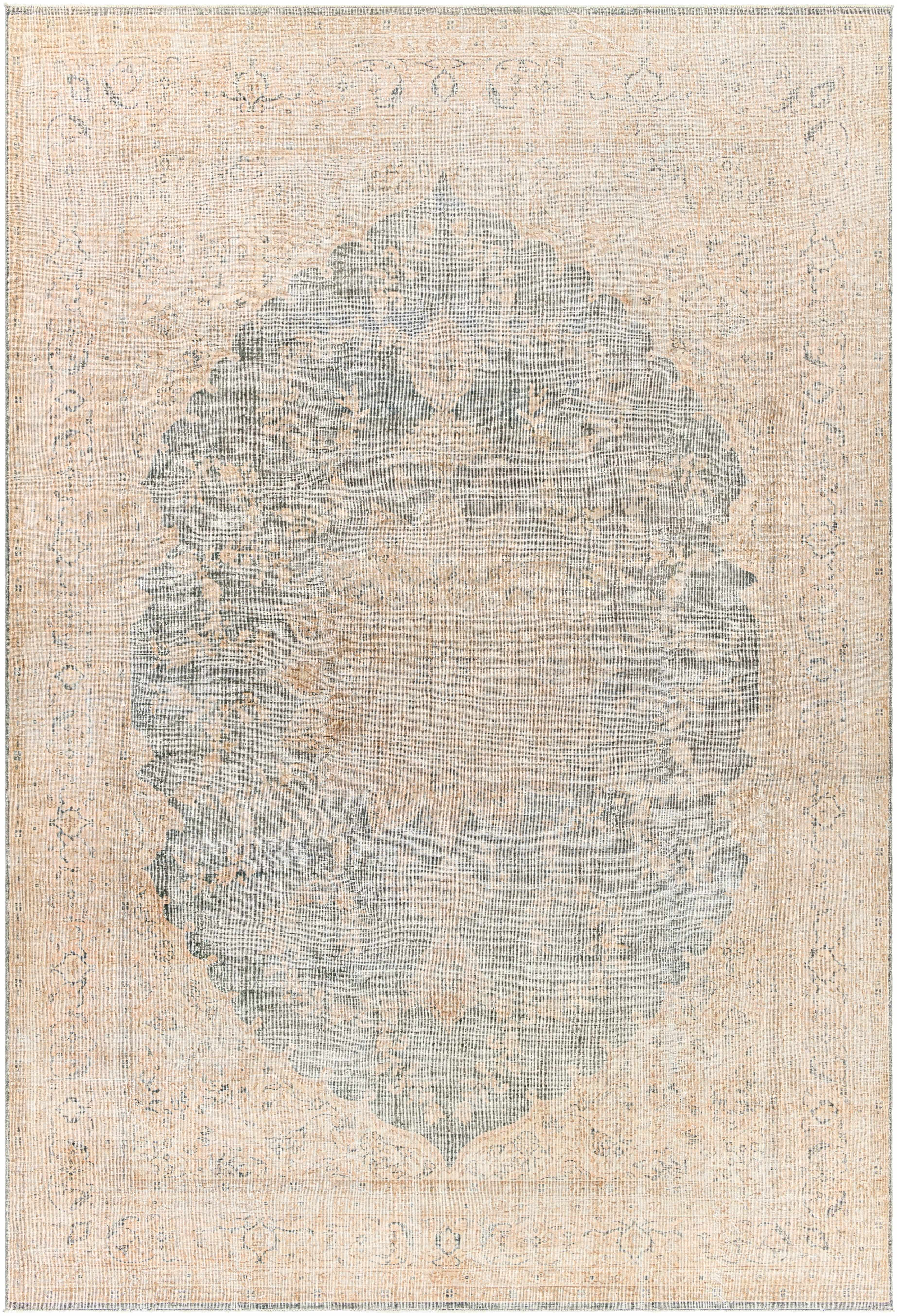 Aniol 7'9in x 11'8in Area Rug - Hauteloom