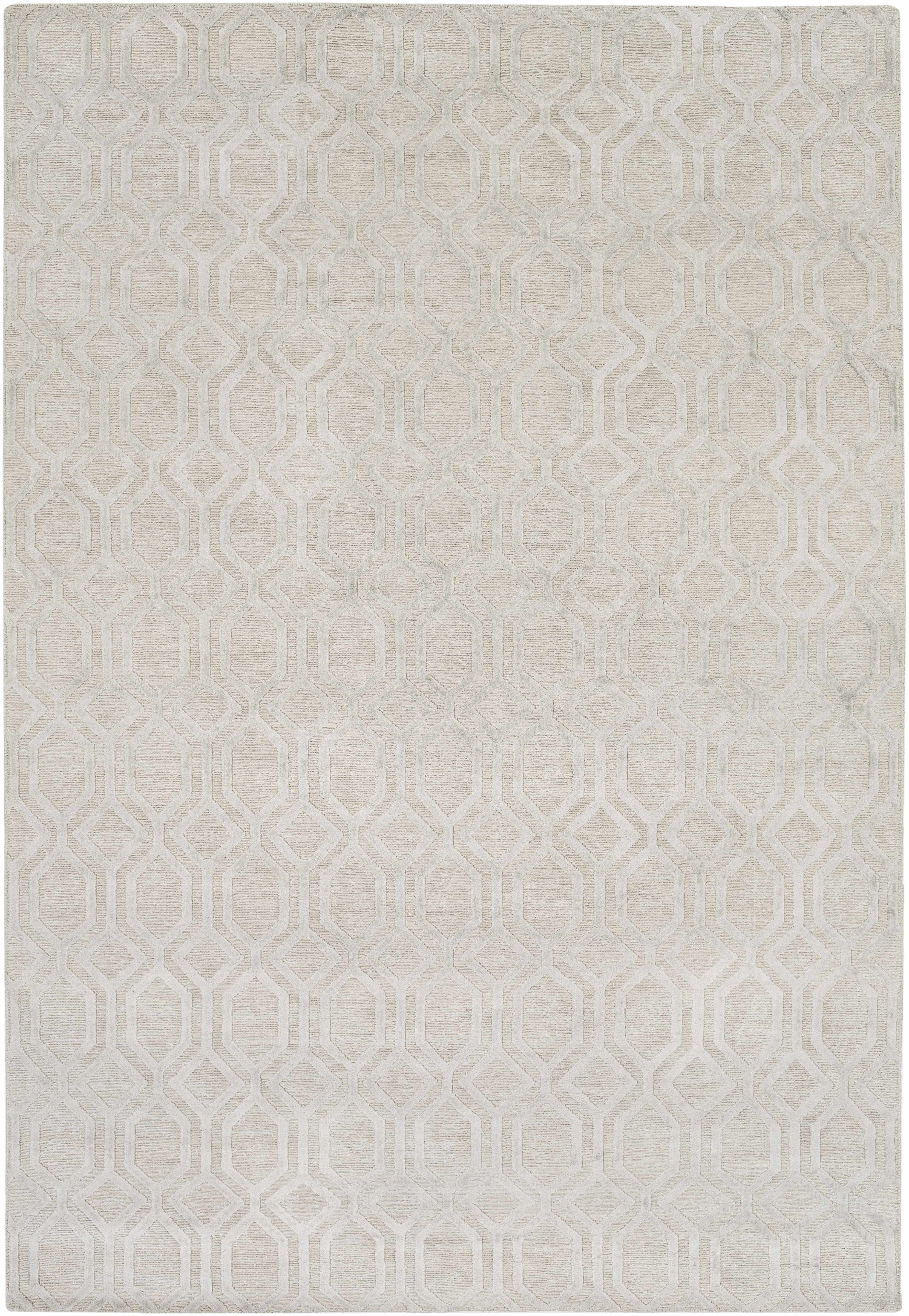 Hollyglen 2' x 3' Solid & Border Modern Moroccan Trellis Area Rug - Hauteloom