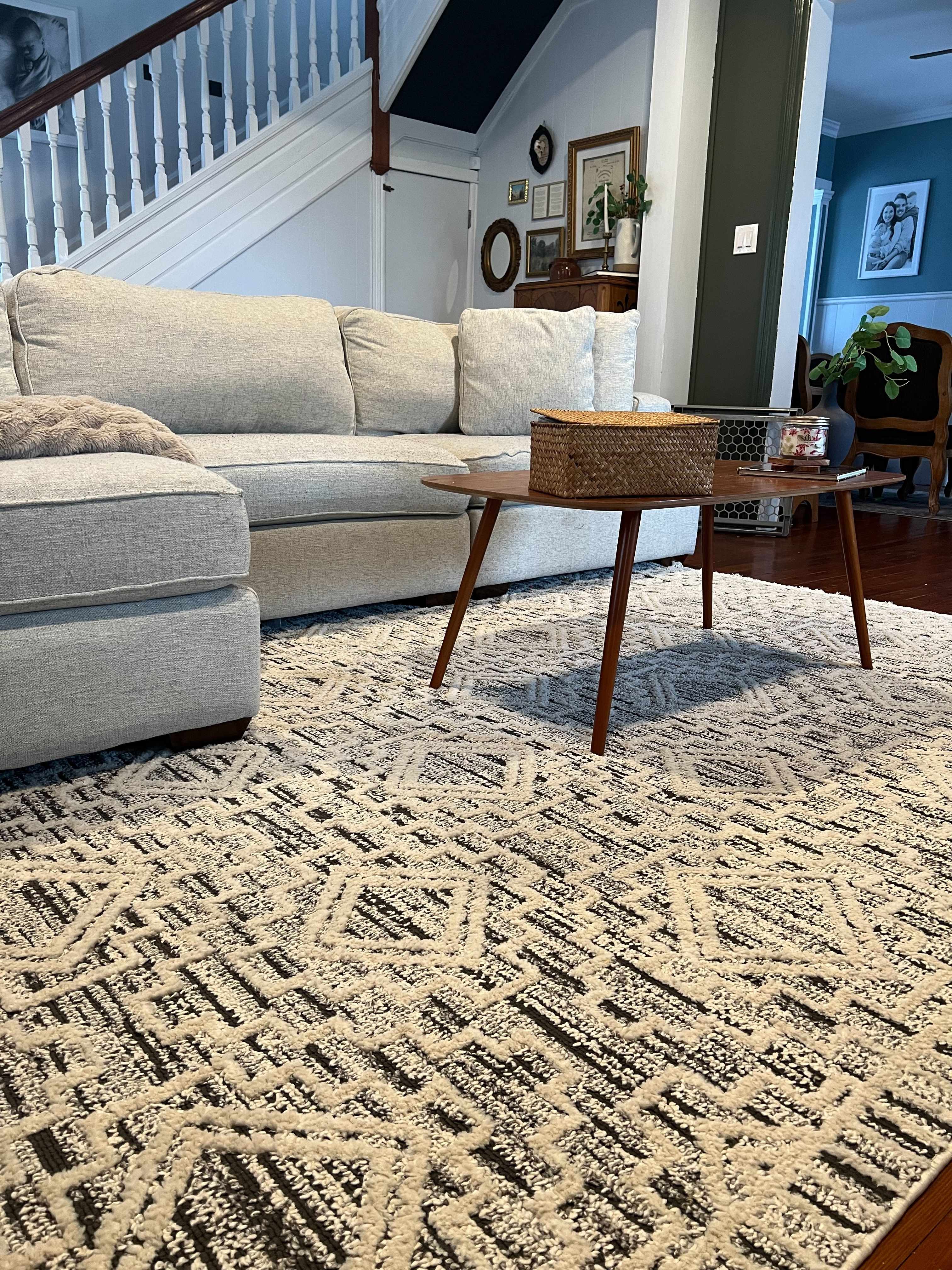 Chrishauna 2'7in x 7'3in Runner - Hauteloom