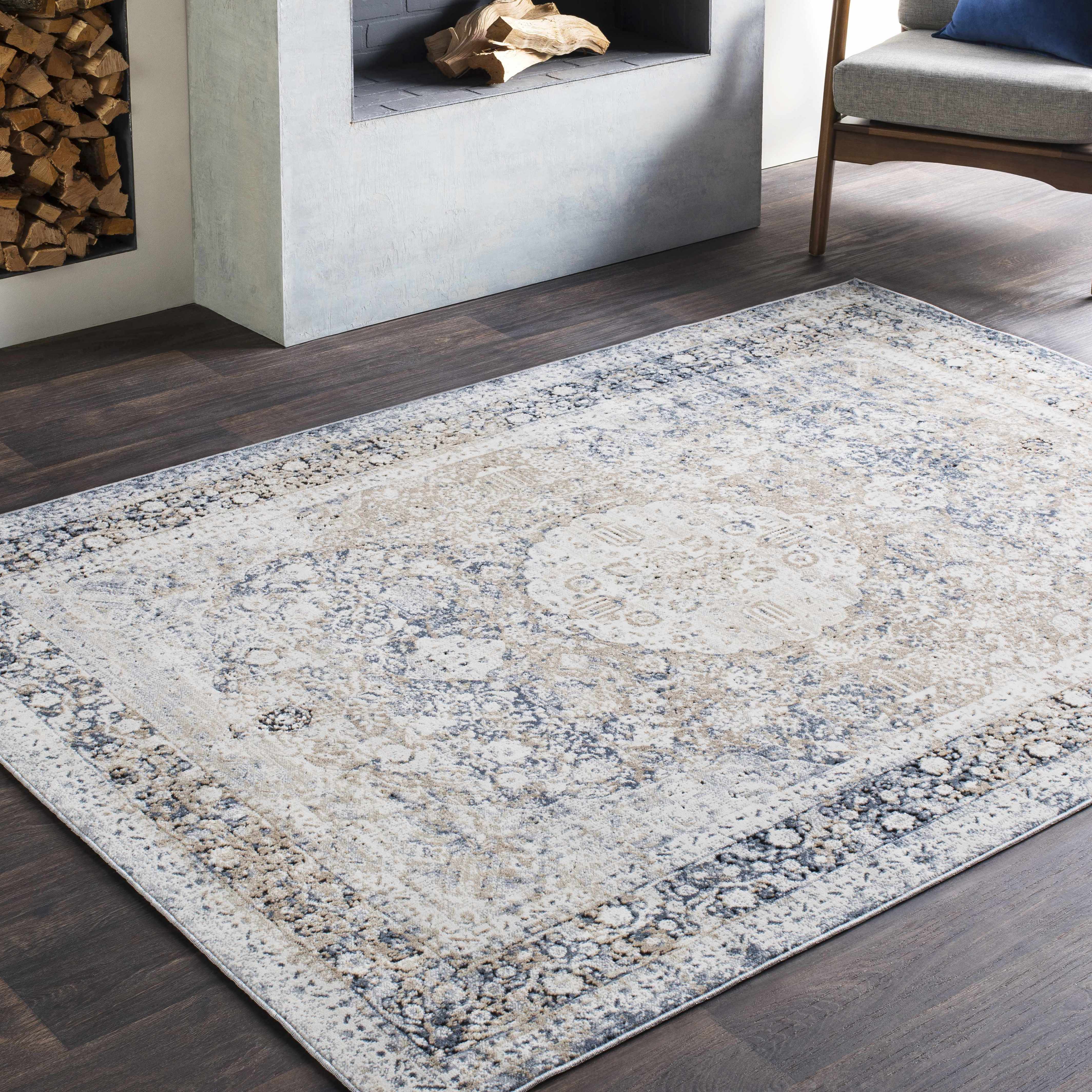 Ozona 2' x 2'11in Updated Traditional Area Rug - Hauteloom