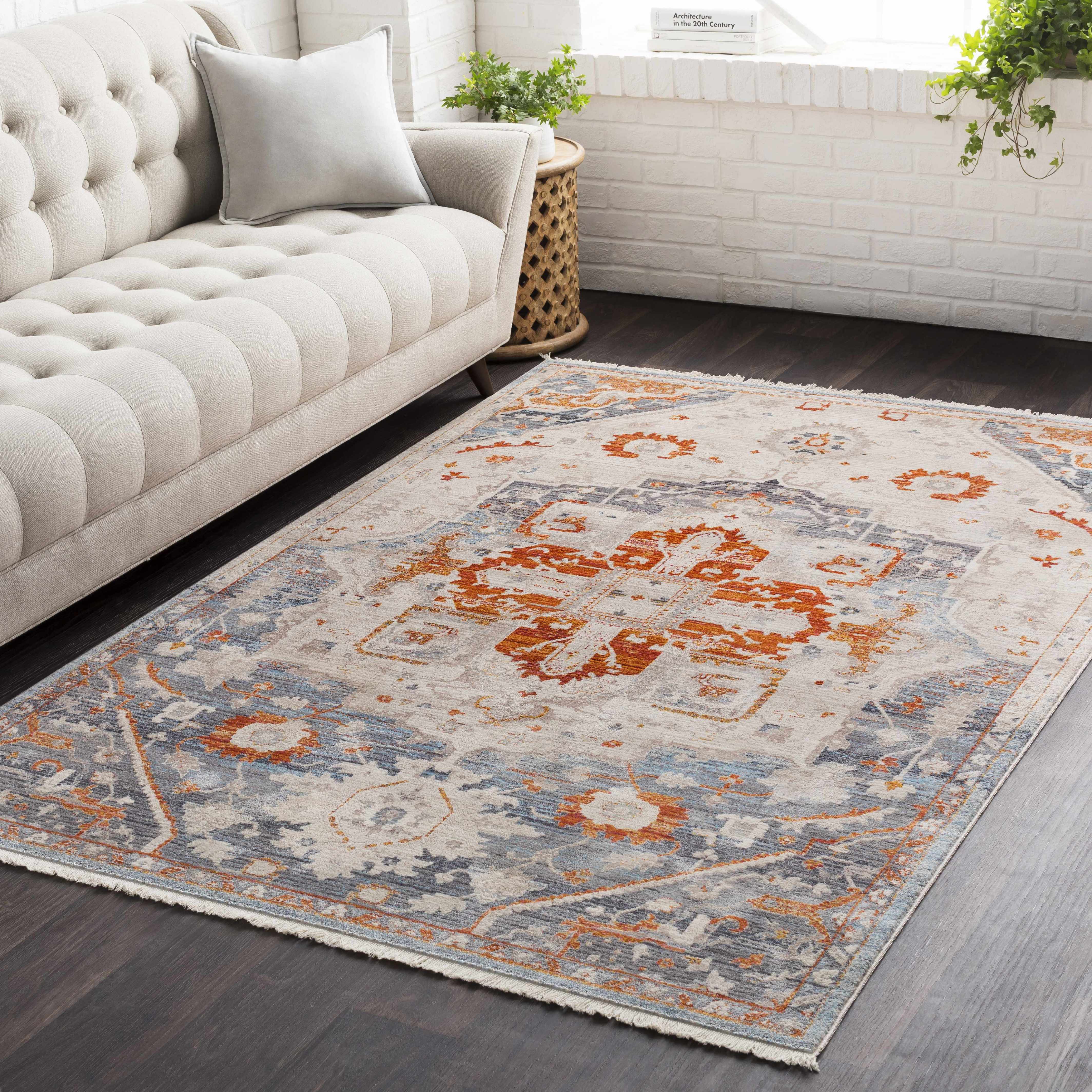 Laketown 2'7in x 4'11in Updated Traditional Area Rug - Hauteloom