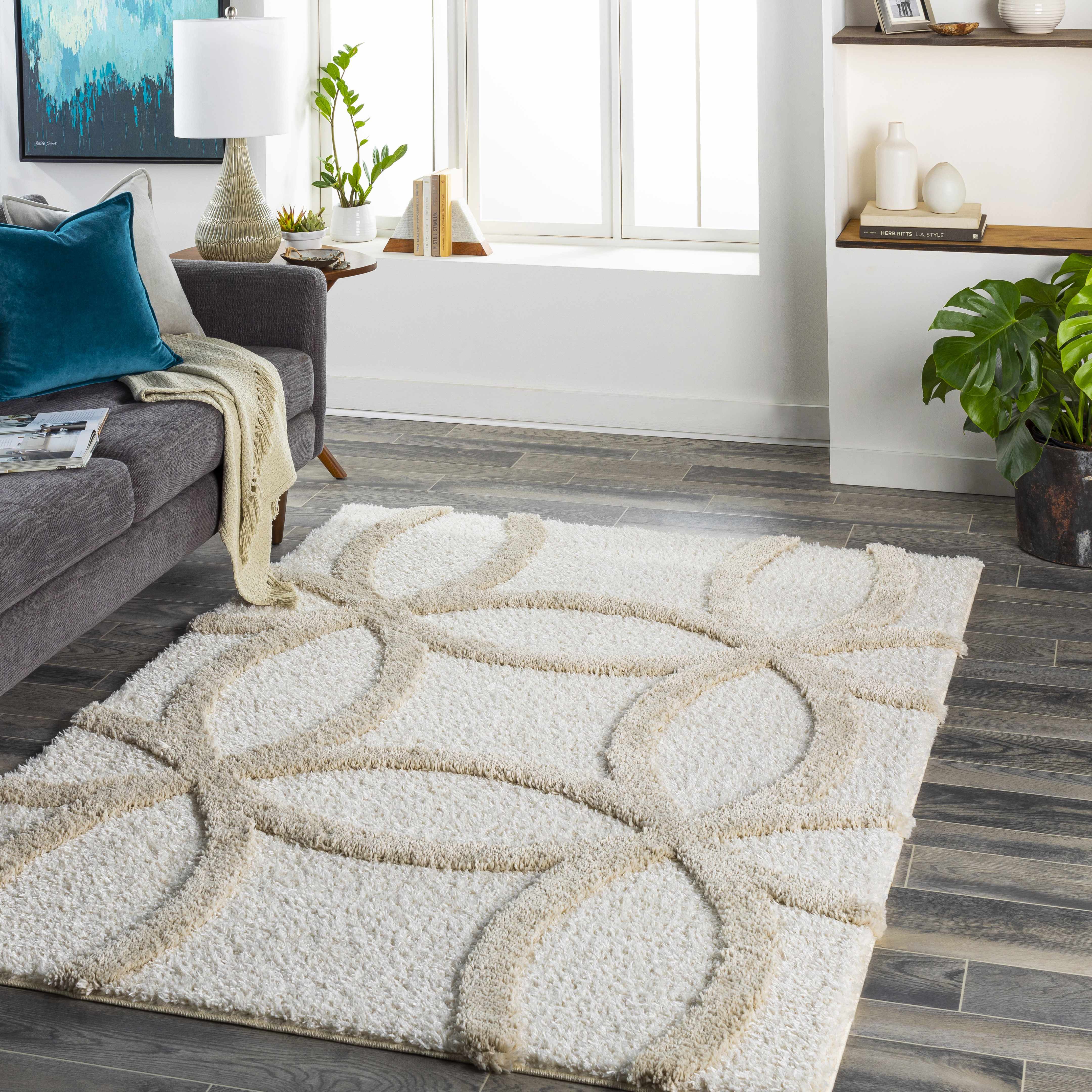 Bundoc 5'3in x 7' Shag Plush Area Rug - Hauteloom