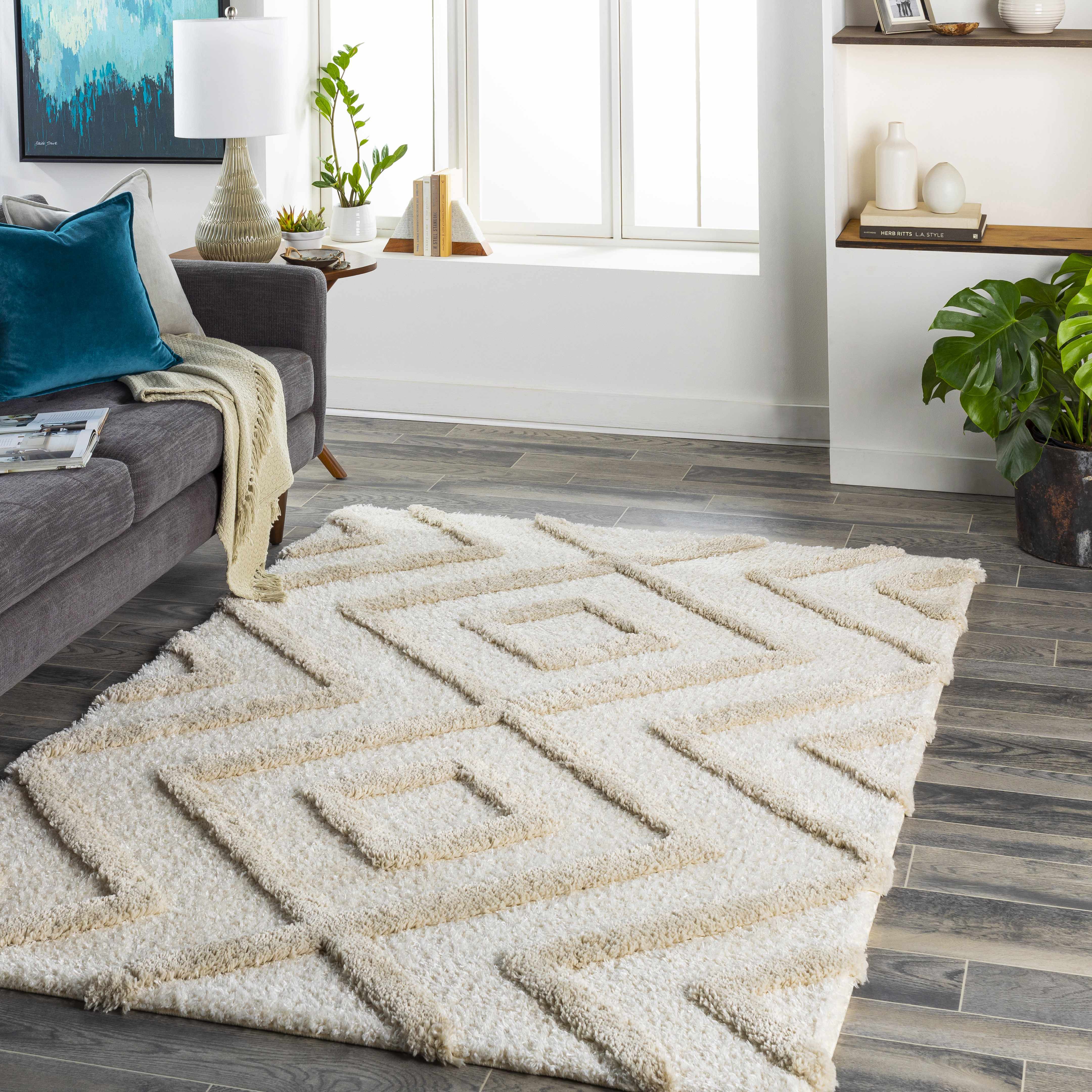 Candijay 6'7in x 9' Shag Plush Area Rug - Hauteloom