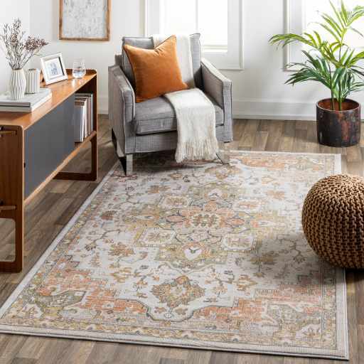 Binalbagan 9'2in x 12' Updated Traditional Farmhouse Area Rug - Hauteloom