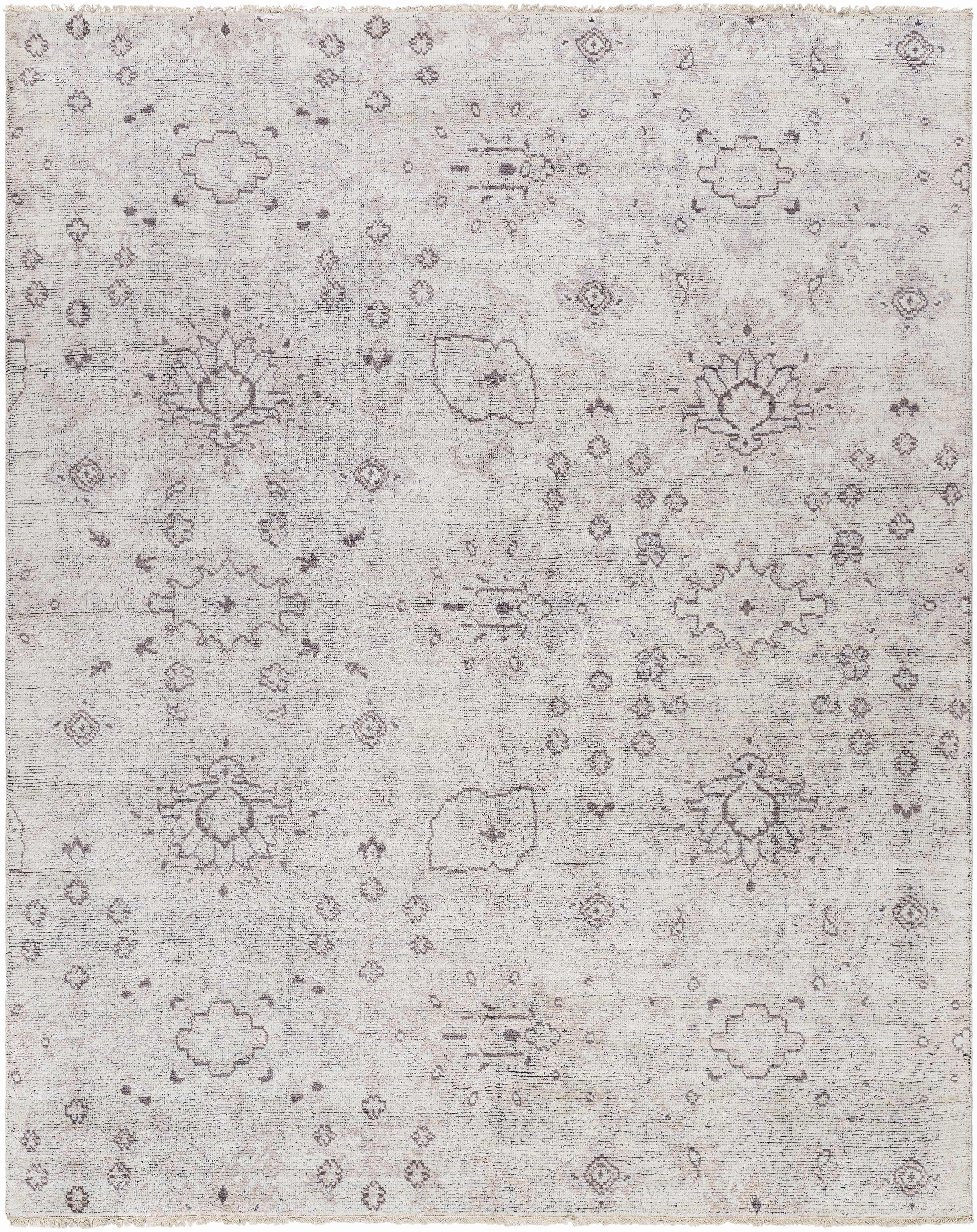 Janus 6' x 9' Traditional Area Rug - Hauteloom