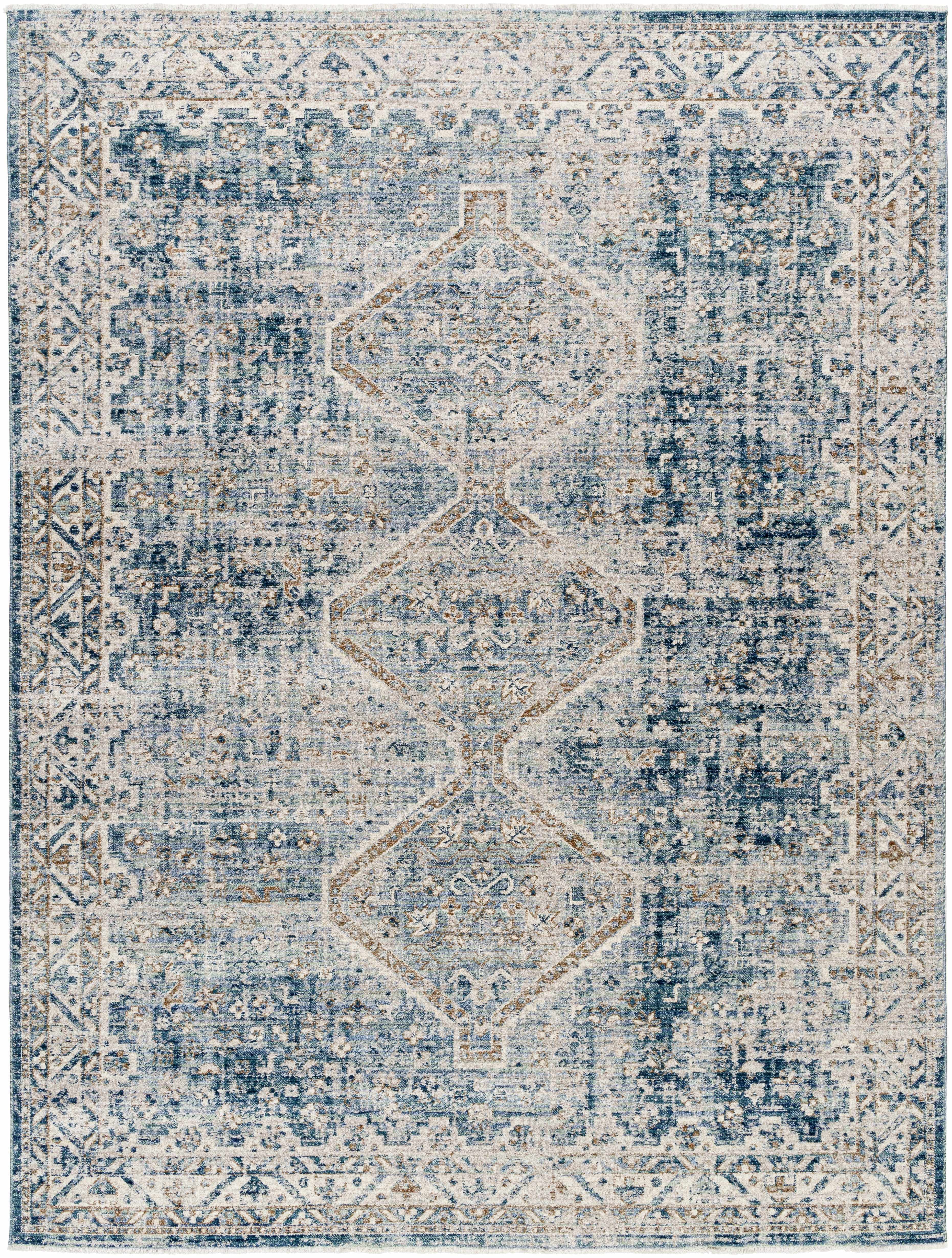 Kamea 5'3in x 7'6in Traditional Area Rug - Hauteloom