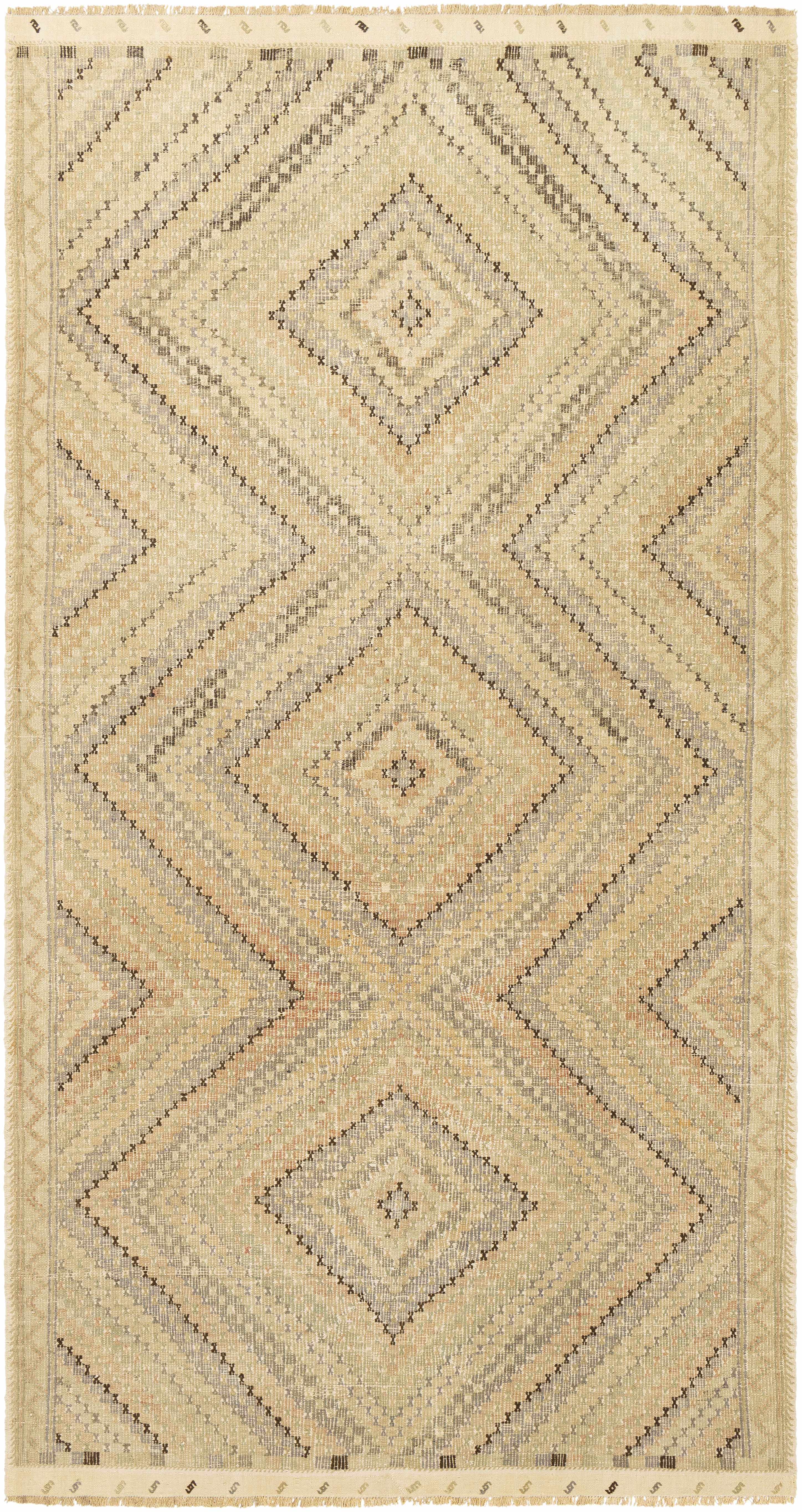 Kinga 5'3in x 9'11in Traditional Area Rug - Hauteloom
