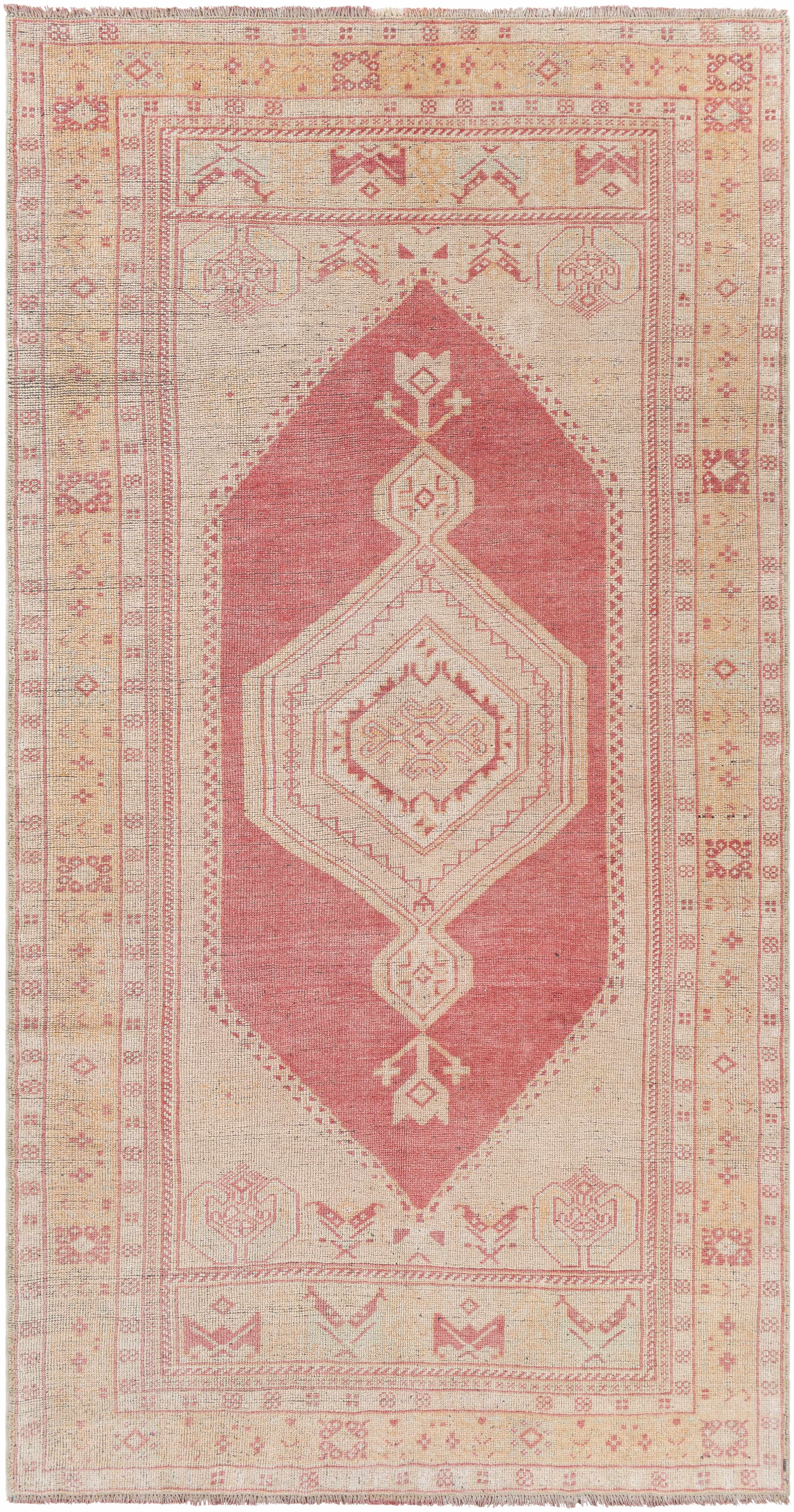 Malva 4'8in x 8'9in Traditional Area Rug - Hauteloom