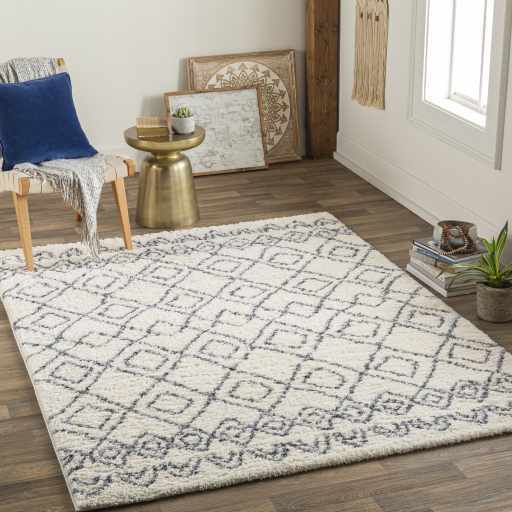 Bailan 5'3in x 7' Area Rug - Hauteloom