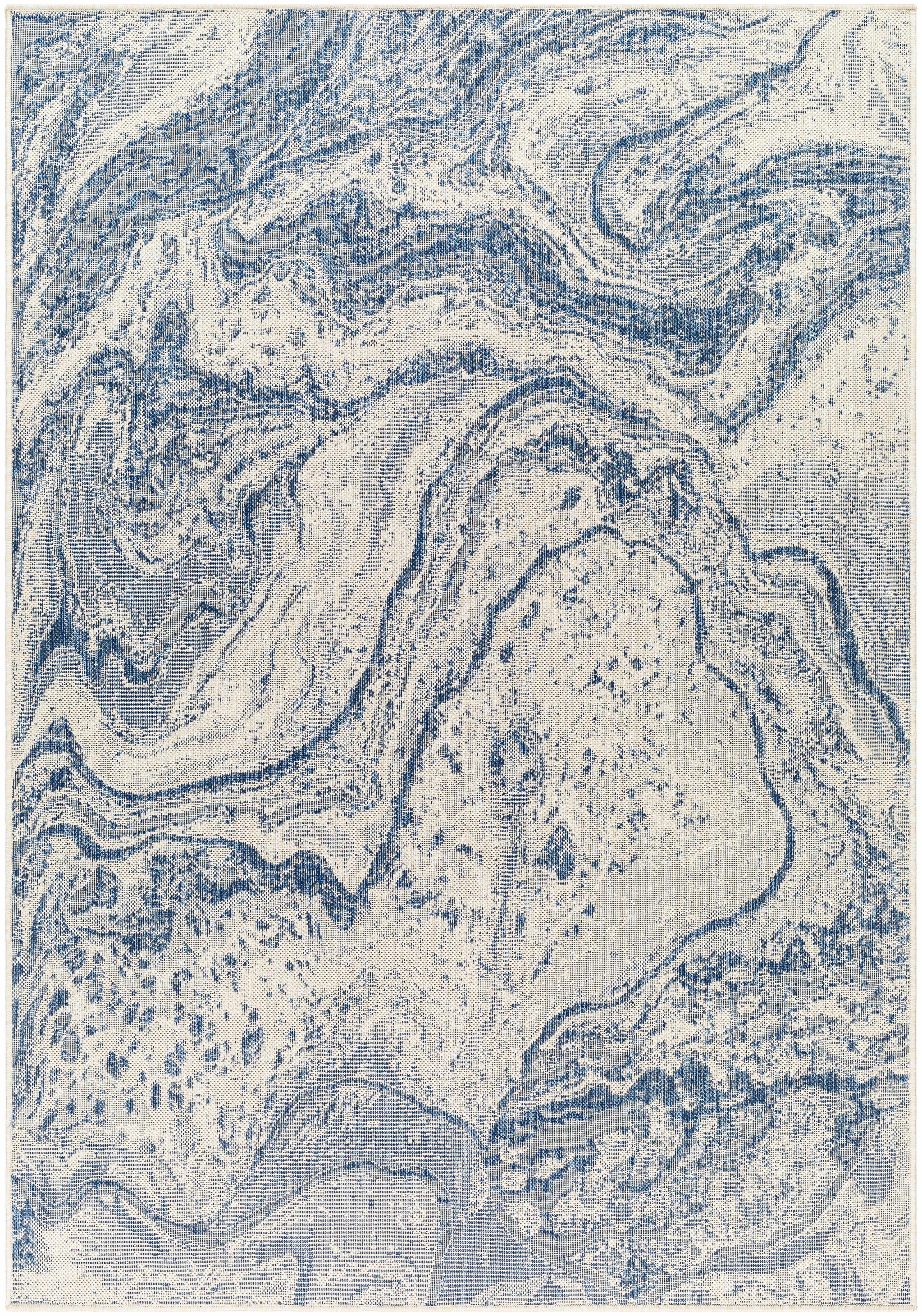 Basma 5'3in x 7' Outdoor Area Rug - Hauteloom