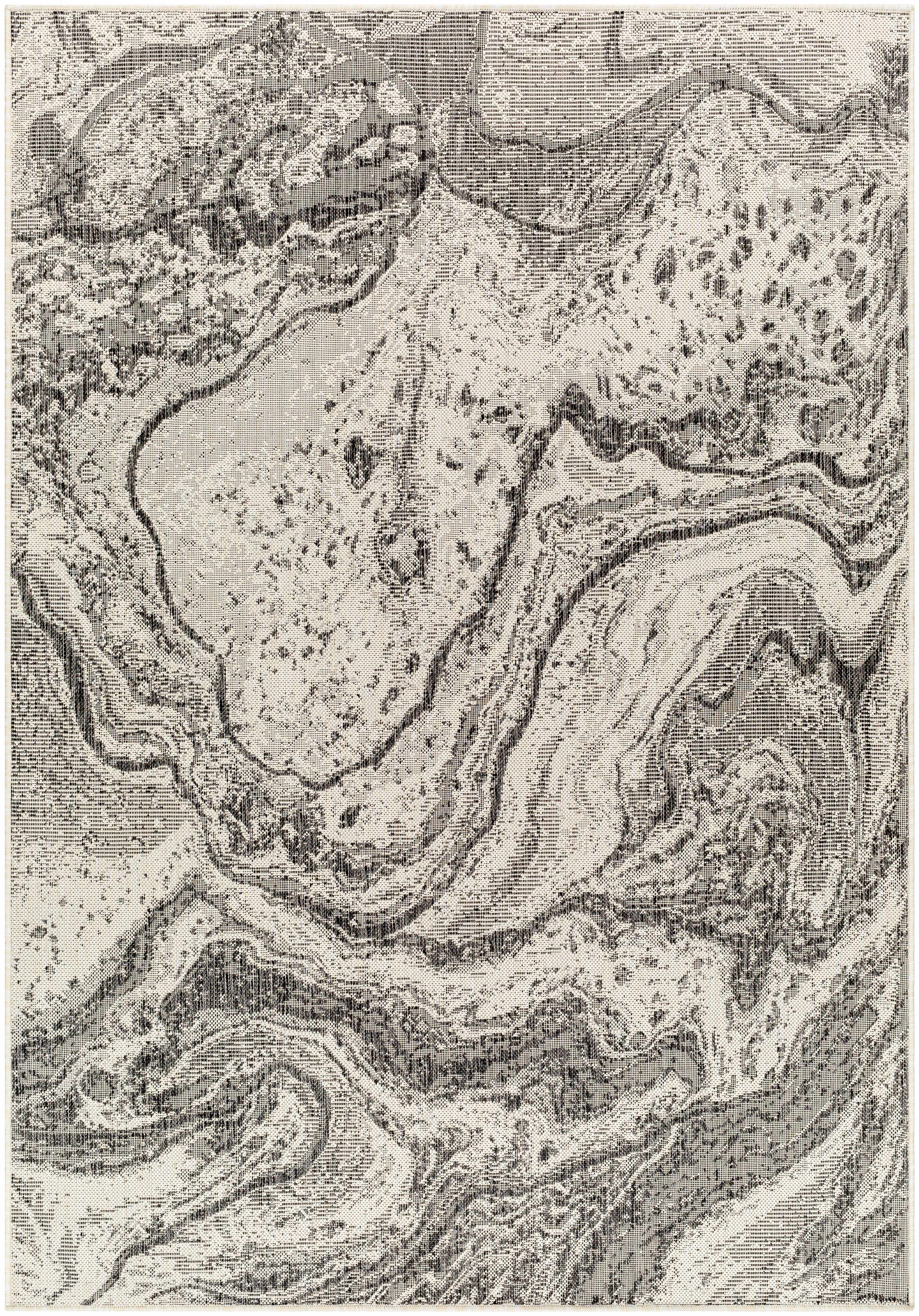 Basma 5'3in x 7' Outdoor Area Rug - Hauteloom