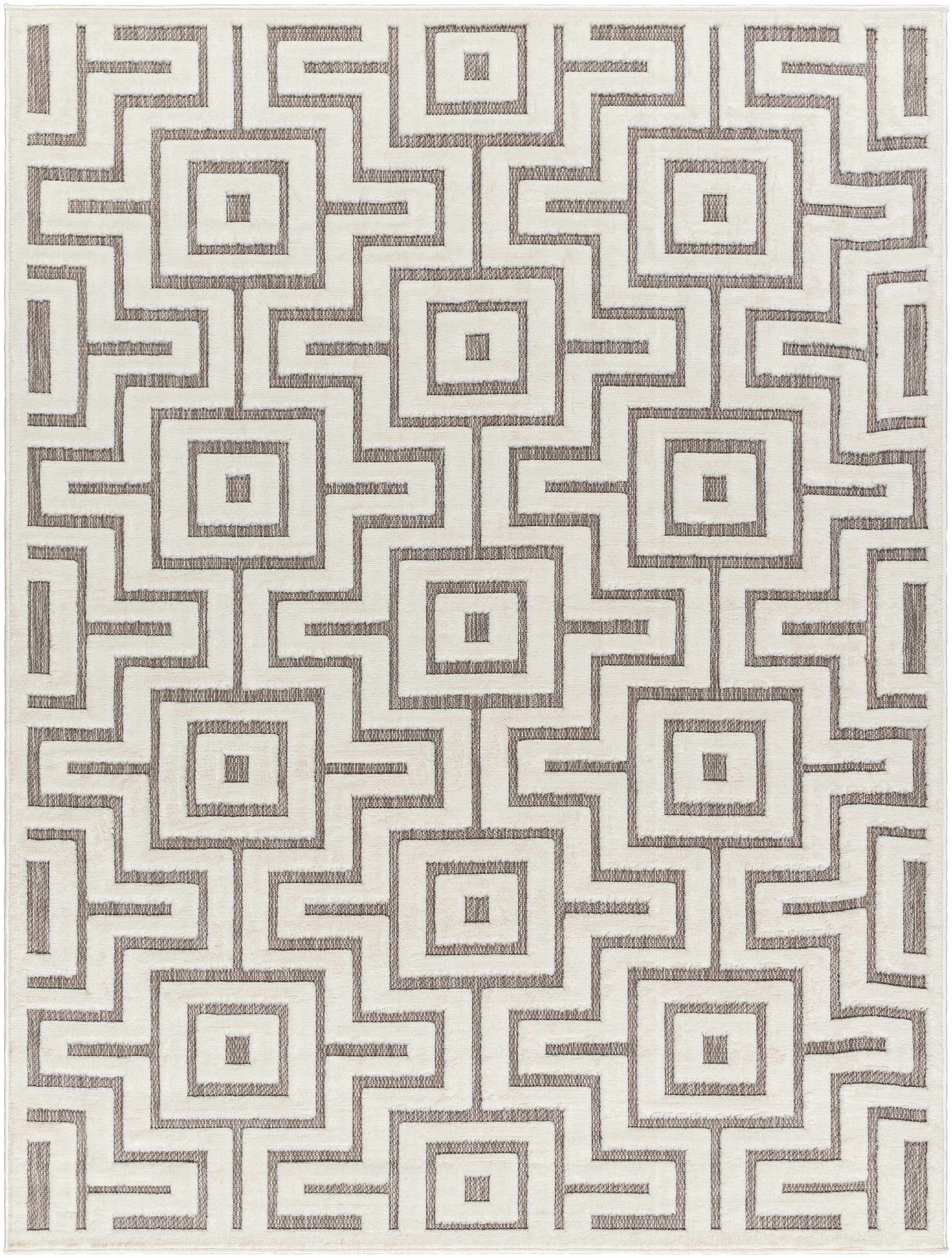 Zevi 6'7in x 9' Outdoor Area Rug - Hauteloom